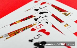 家庭互动新体验：双色球桌游带来的乐趣与博彩平台推荐指南