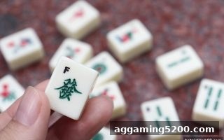 红中麻将推牌九高阶布局：博彩平台推荐玩家必读技巧