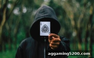 博彩平台推荐：牌九与百家乐的趋势解读及实战策略