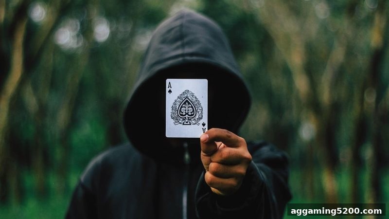 博彩平台推荐：牌九与百家乐的趋势解读及实战策略